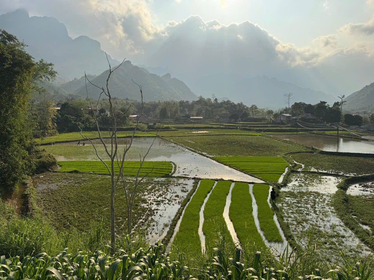 Ha Giang Epic Loop by Bicycle Tour 6 Days